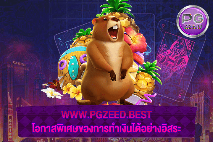 WWW.PGZEED.BEST โอกาสพิเศษของการทำเงินได้อย่างอิสระ 