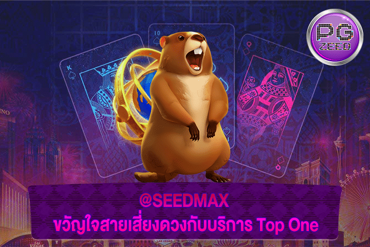 @SEEDMAX ขวัญใจสายเสี่ยงดวงกับบริการ Top One