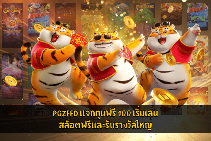 แจกทุนฟรี 100