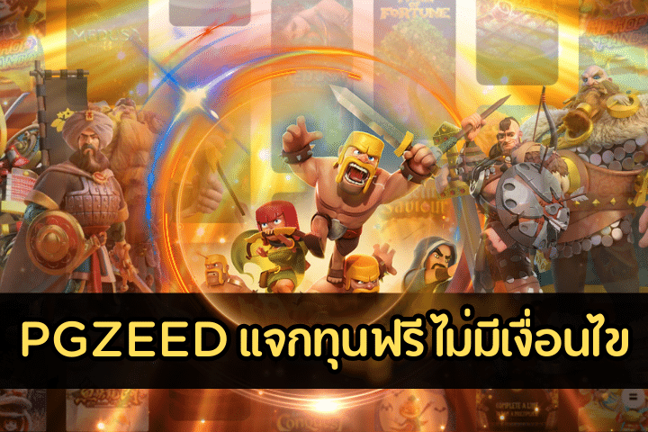 PGZEED แจกทุนฟรี