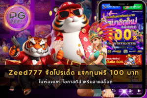 Zeed777 จัดโปรเด็ด แจกทุนฟรี